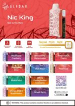 Elfbar Nic King 30000 Puffs Disposable Vape