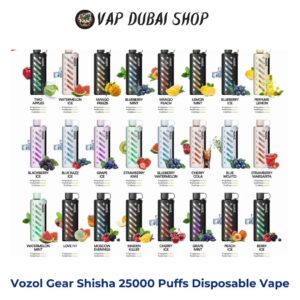 Vozol Gear Shisha 25000 Puffs