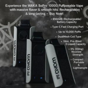Waka SoPro PA 10000 puffs 50mg Disposable Vape
